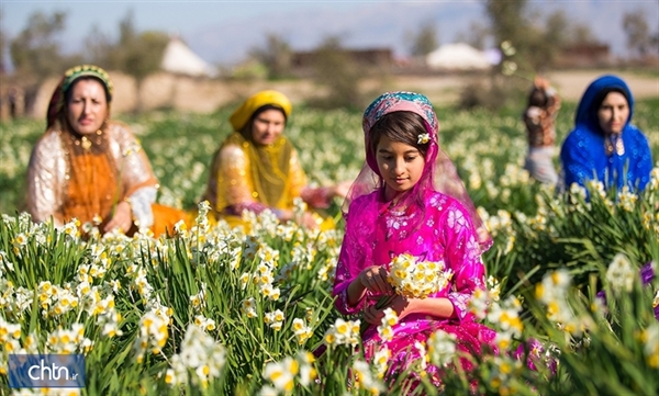 گردشگری کشاورزی تجربه‌ای جدید و بکر